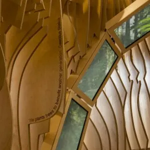 The Forest Zone of The Visitor experience designed by Jason Bruges Studio in the lobby of The Living Planet Centre which allows WWF-UK to welcome visitors of all ages into the eco building to witness the WWF experience and gain an insight into the work of WWF in the natural world. The four experience zones cover the four key areas of WWF's work, wildlife, oceans, rivers, forests. 
© Stonehouse Photographic / WWF-UK