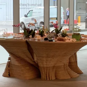 Credit - Bio-ID Lab, Bartlett for Arup.
