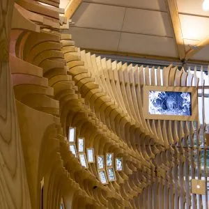 The Wildlife Zone of The Visitor experience designed by Jason Bruges Studio in the lobby of The Living Planet Centre which allows WWF-UK to welcome visitors of all ages into the eco building to witness the WWF experience and gain an insight into the work of WWF in the natural world. The four experience zones cover the four key areas of WWF's work, wildlife, oceans, rivers, forests. 
© Stonehouse Photographic / WWF-UK