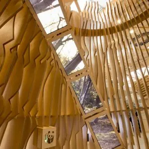 The Forest Zone of The Visitor experience designed by Jason Bruges Studio in the lobby of The Living Planet Centre which allows WWF-UK to welcome visitors of all ages into the eco building to witness the WWF experience and gain an insight into the work of WWF in the natural world. The four experience zones cover the four key areas of WWF's work, wildlife, oceans, rivers, forests. 
© Stonehouse Photographic / WWF-UK