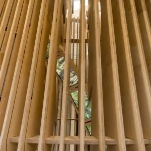 The Forest Zone of The Visitor experience designed by Jason Bruges Studio in the lobby of The Living Planet Centre which allows WWF-UK to welcome visitors of all ages into the eco building to witness the WWF experience and gain an insight into the work of WWF in the natural world. The four experience zones cover the four key areas of WWF's work, wildlife, oceans, rivers, forests. 
© Stonehouse Photographic / WWF-UK